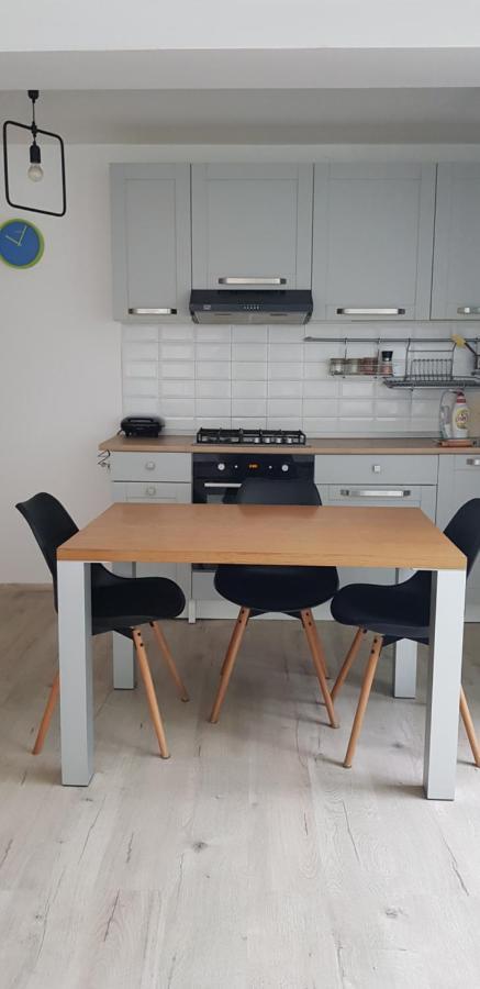 Apartament Casa Zorilor Cluj Zewnętrze zdjęcie