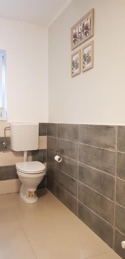 Apartament Casa Zorilor Cluj Zewnętrze zdjęcie